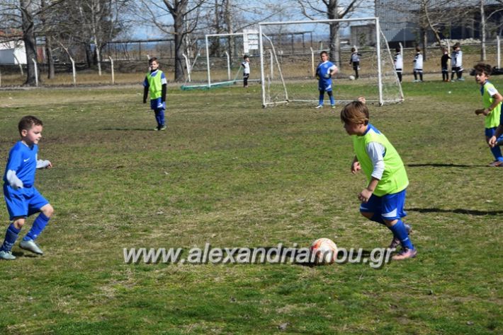 alexandriamou.gr_asteras04.03.18122