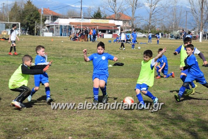 alexandriamou.gr_asteras04.03.18152