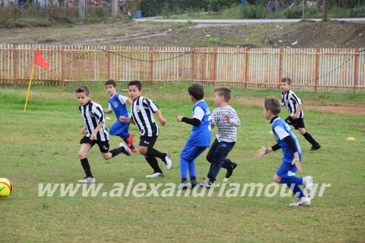 alexandriamou.gr_asteras1178019