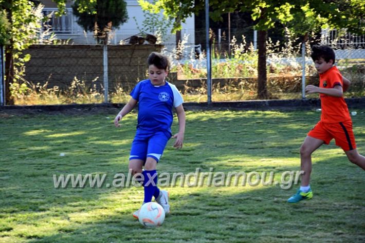 alexandriamou.gr_asteras1DSC_0065