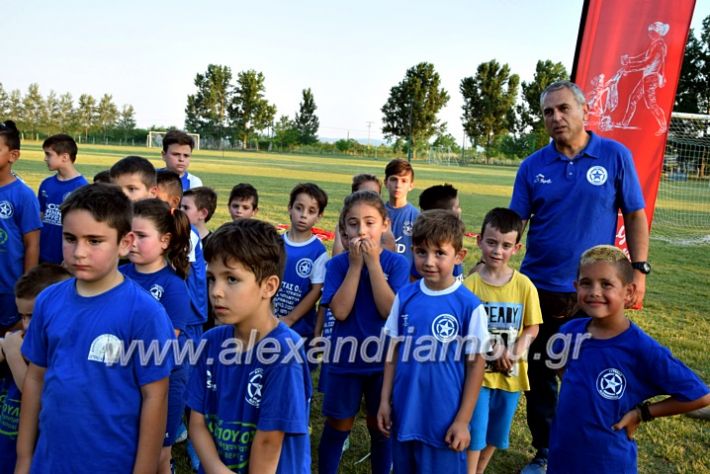 alexandriamou.gr_asteras1DSC_0133