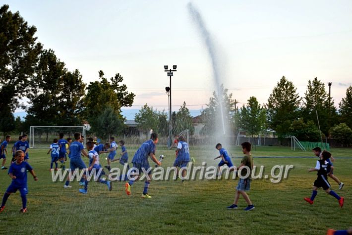 alexandriamou.gr_asteras1DSC_0213