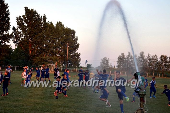 alexandriamou.gr_asteras1DSC_0231