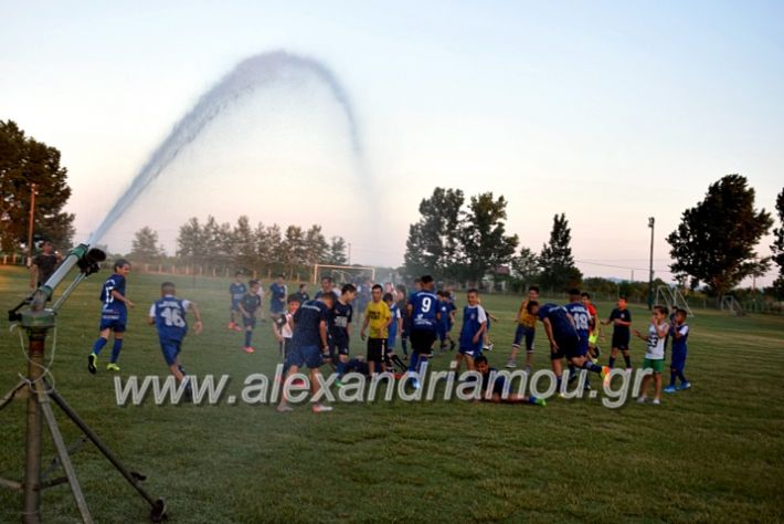 alexandriamou.gr_asteras1DSC_0245