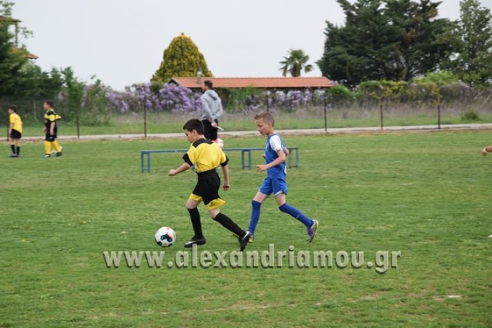 alexandriamou.gr_asterasraxia002