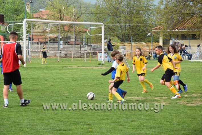 alexandriamou.gr_asterasraxia076