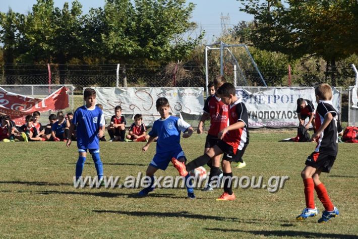 alexandriamou.gr_tulemaxi_asteras14007