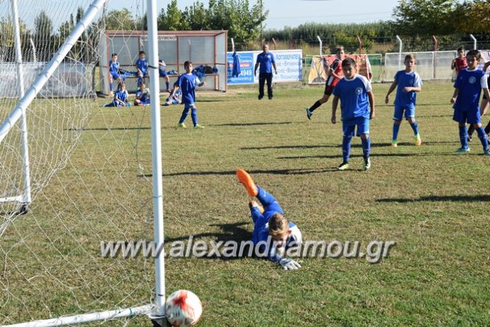 alexandriamou.gr_tulemaxi_asteras14016