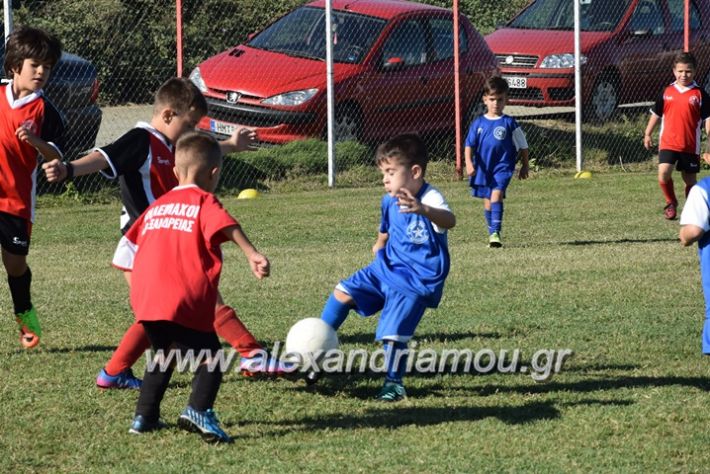 alexandriamou.gr_tulemaxi_asteras14062