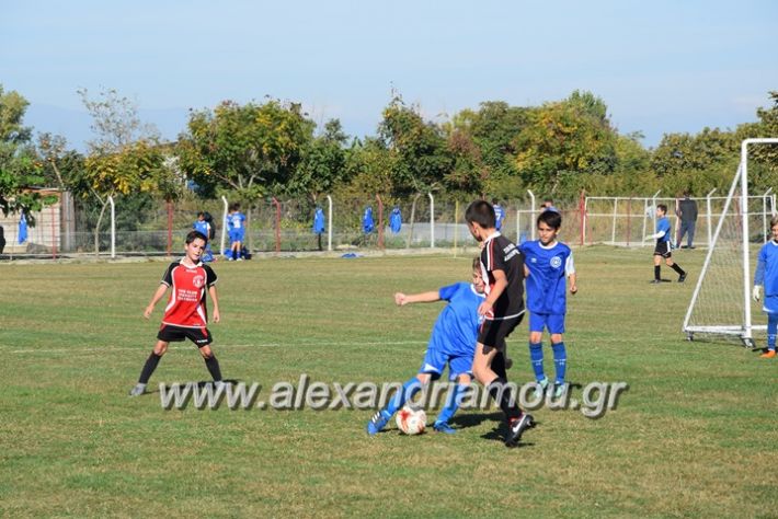 alexandriamou.gr_tulemaxi_asteras14065