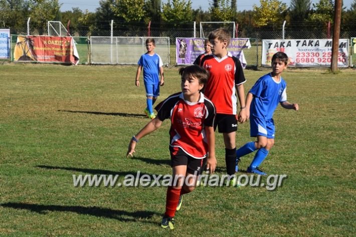 alexandriamou.gr_tulemaxi_asteras14081