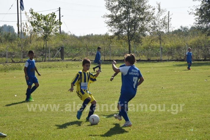 alexandriamou.gr_asteras056DSC_0842