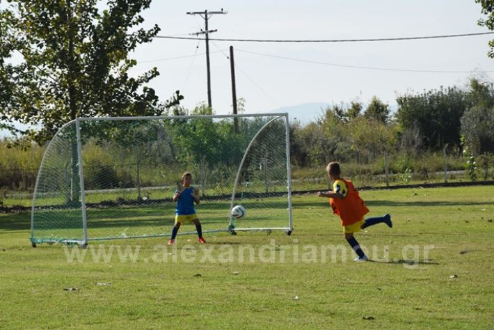 alexandriamou.gr_asteras056DSC_0852