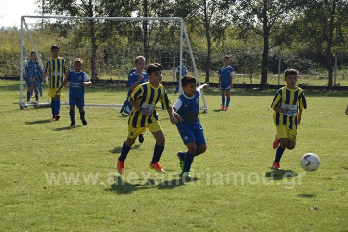 alexandriamou.gr_asteras056DSC_0855