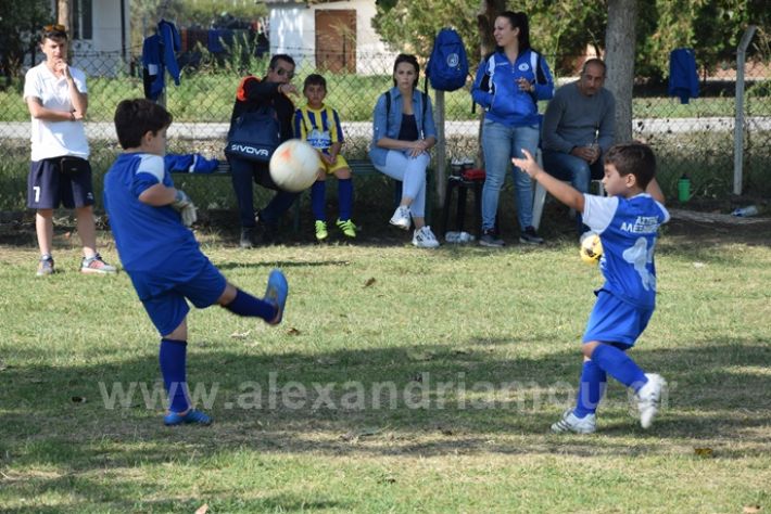 alexandriamou.gr_asteras056DSC_0870