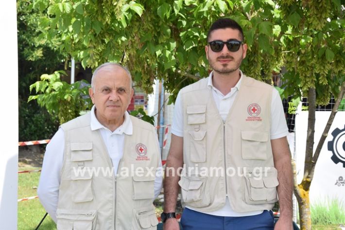 alexandriamou_asterastournoua2019DSC_0288