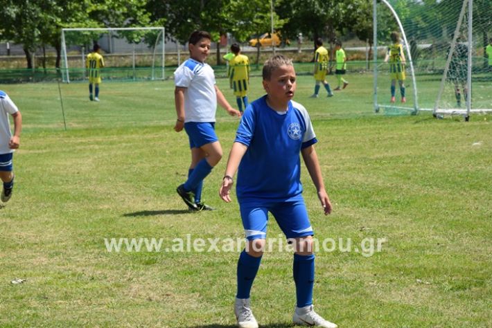 alexandriamou_asterastournoua2019DSC_0371