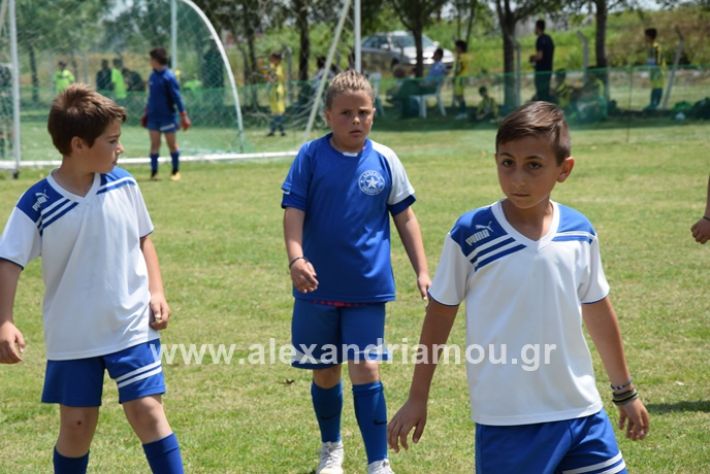 alexandriamou_asterastournoua2019DSC_0372