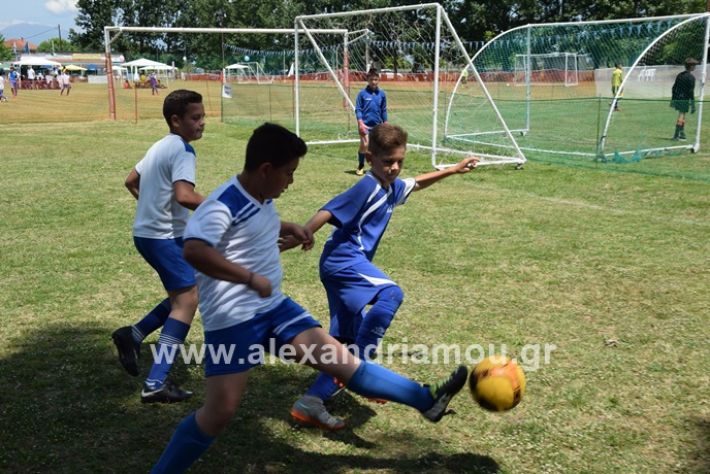 alexandriamou_asterastournoua2019DSC_0398