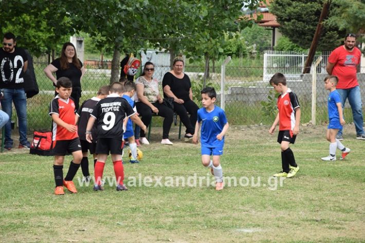 alexandriamou_asterastournoua22019DSC_0501