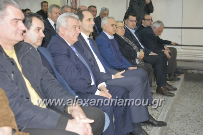 alexandriamou.asteraspita2019116