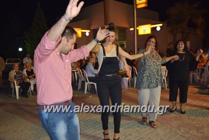 alexandriamou.gr_asteroupoli1701108