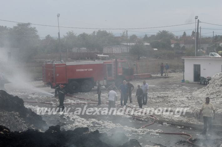 alexandriamou.gr_fotia10.10.19007