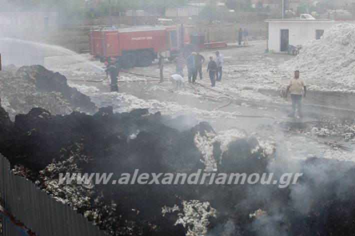 alexandriamou.gr_fotia10.10.19008