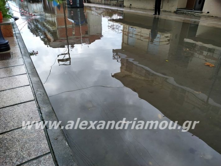 alexandriamou.gr_broxi2019000