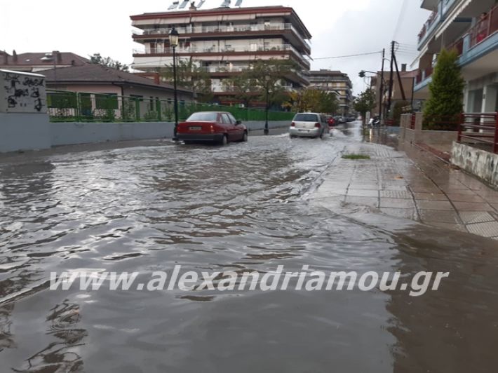 alexandriamou.gr_broxi2019006