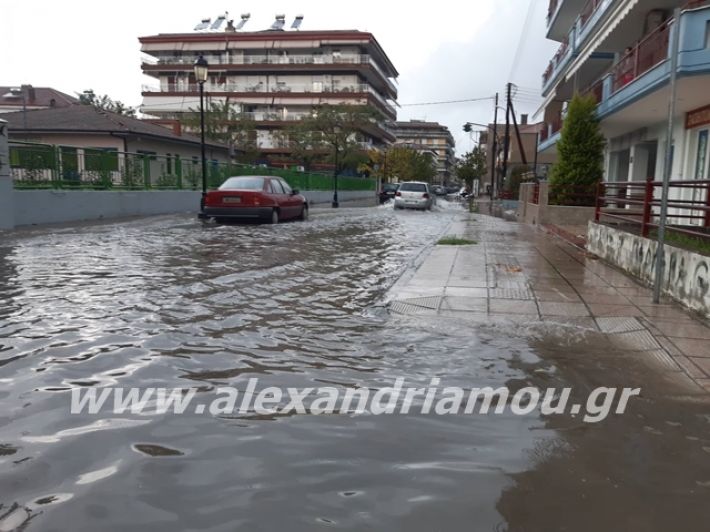 alexandriamou.gr_broxi2019007