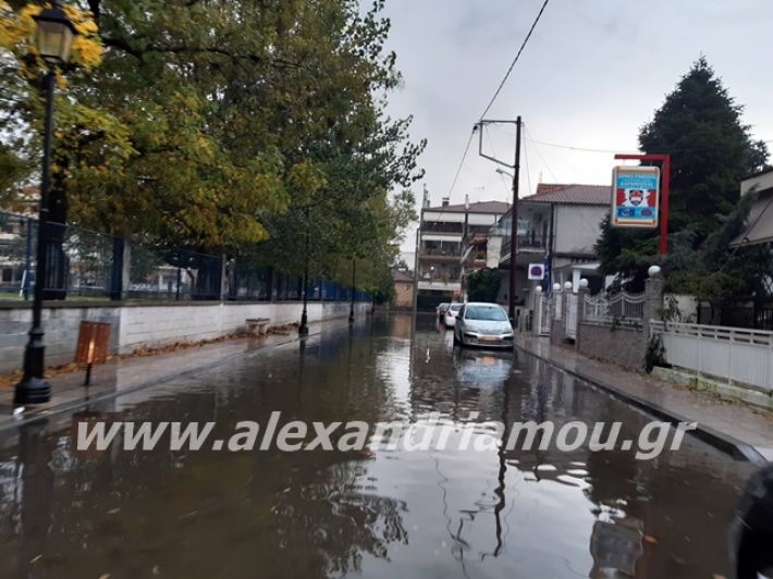 alexandriamou.gr_broxi2019009