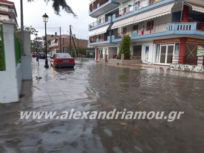 alexandriamou.gr_broxi2019013
