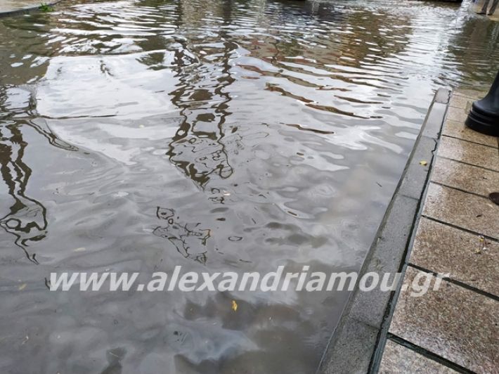 alexandriamou.gr_broxi2019022