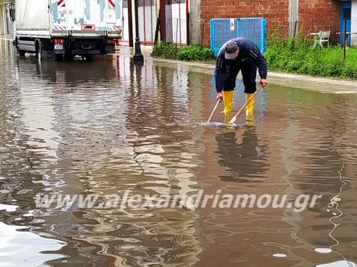 alexandriamou.gr_broxi20191001