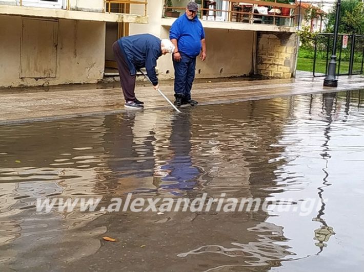 alexandriamou.gr_broxi20191003