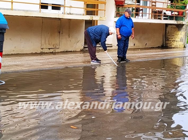 alexandriamou.gr_broxi20191004