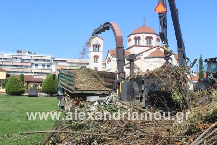 alexandriamou.gr_dentradimarxos2019003