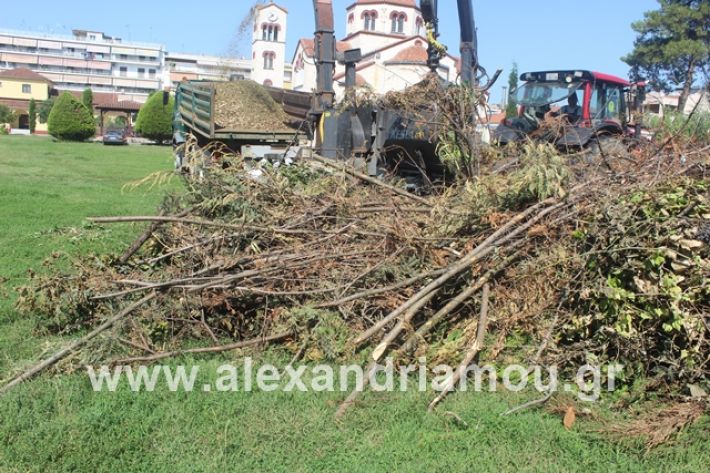 alexandriamou.gr_dentradimarxos2019004