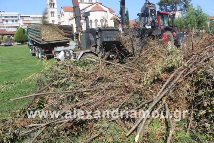 alexandriamou.gr_dentradimarxos2019007