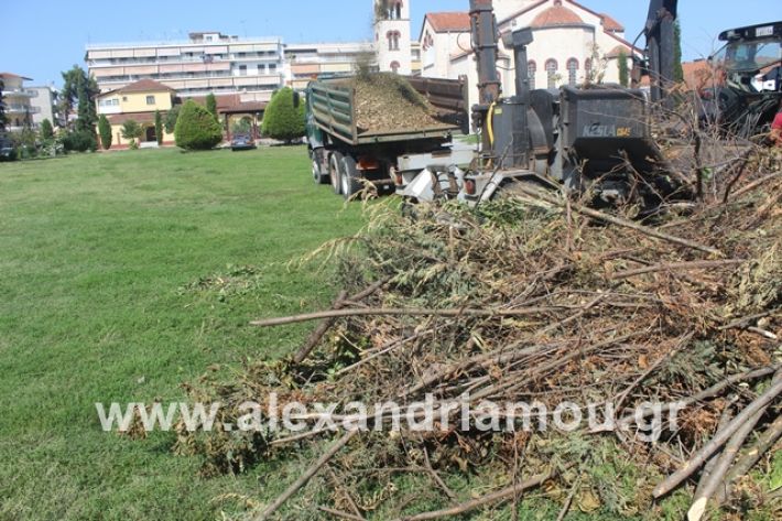 alexandriamou.gr_dentradimarxos2019008