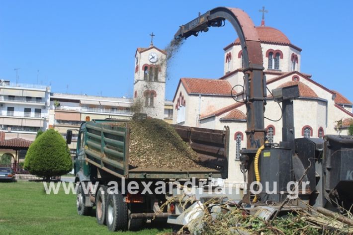 alexandriamou.gr_dentradimarxos2019009