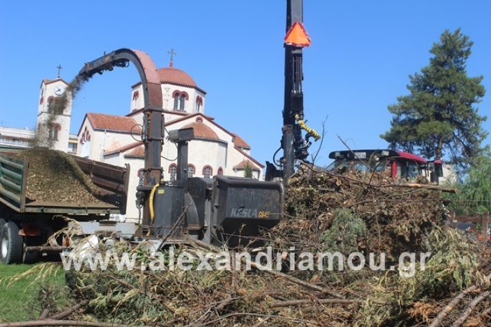 alexandriamou.gr_dentradimarxos2019013