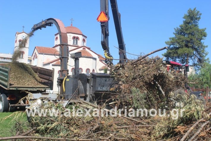 alexandriamou.gr_dentradimarxos2019014