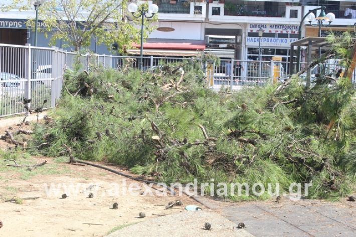 alexandriamou.gr_dentradimarxos2019029