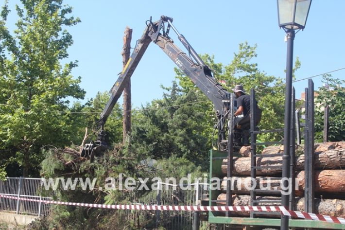 alexandriamou.gr_dentradimarxos2019051