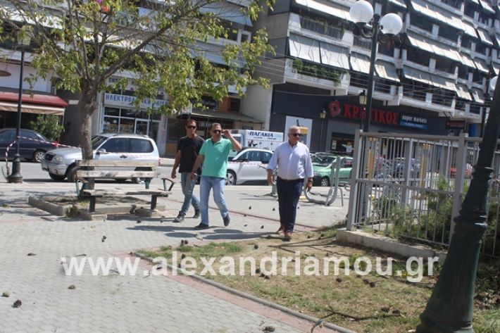 alexandriamou.gr_dentradimarxos2019057