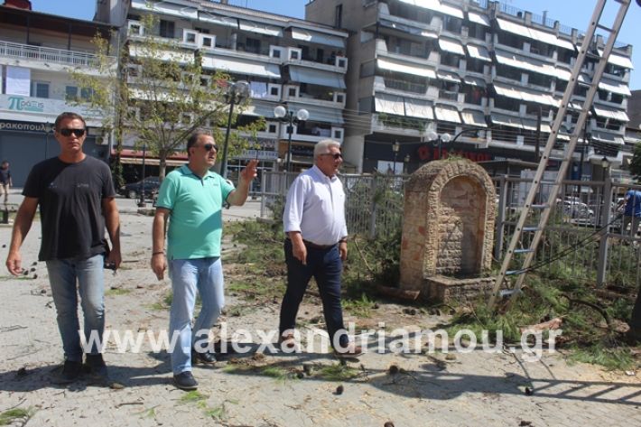 alexandriamou.gr_dentradimarxos2019061