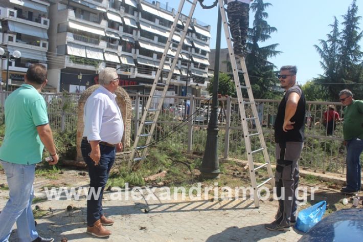 alexandriamou.gr_dentradimarxos2019062