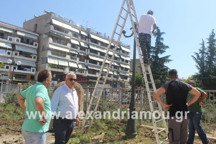 alexandriamou.gr_dentradimarxos2019063